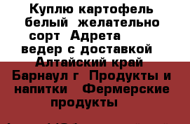 Куплю картофель белый, желательно сорт “Адрета“  - 40 ведер с доставкой - Алтайский край, Барнаул г. Продукты и напитки » Фермерские продукты   